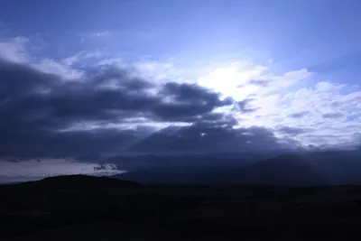 DSC_1230 (Large).JPG